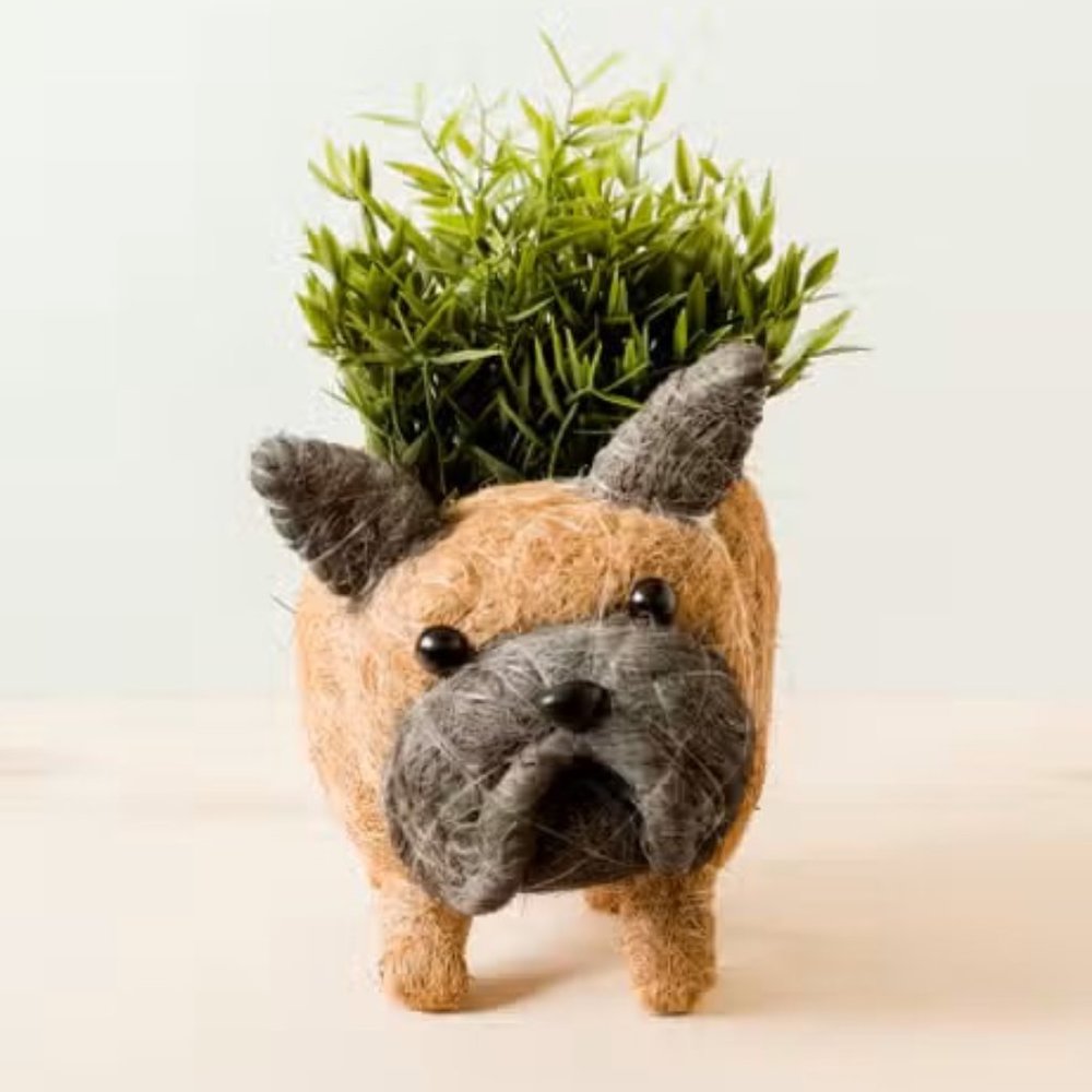 French Bulldog Planter